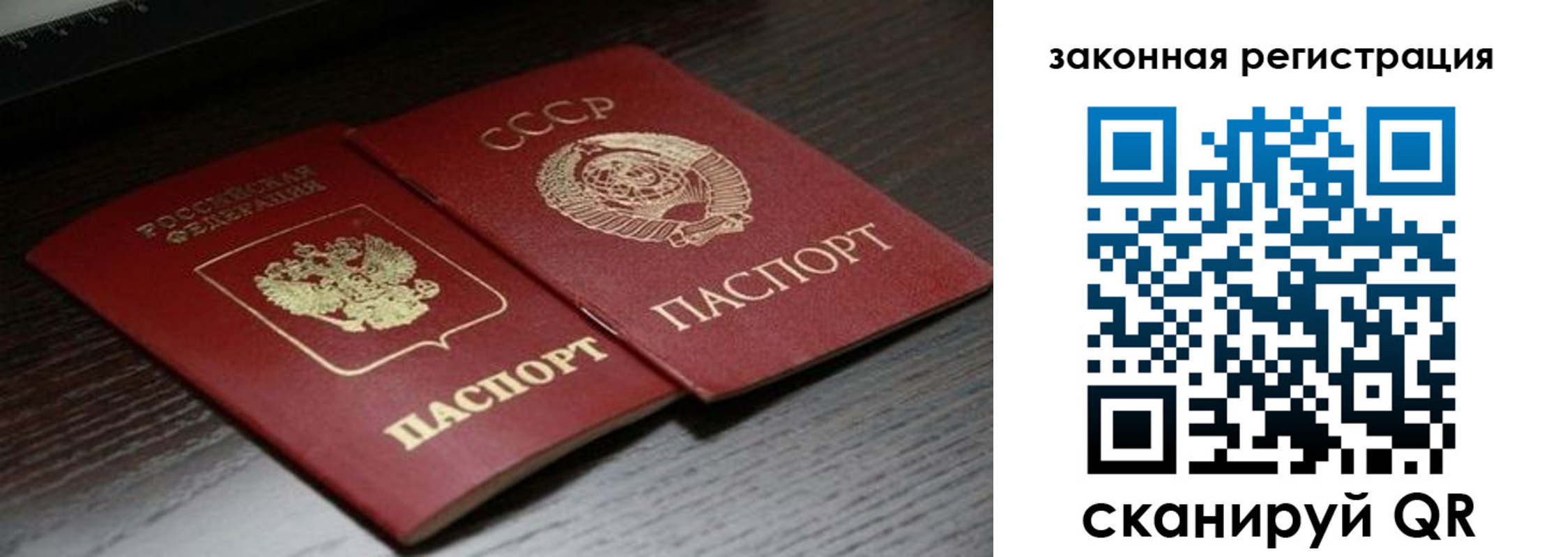 прописка поиск в Обояни